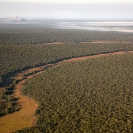097_LZmMut.2958-Miombo-Woodland-aerial-N-Zambia