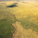 017_LZmS.1749-Kafue-Flats-aerial-Zambia