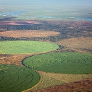 031_AgC.1510-Comm-Farming-by-Rotary-Irrigation-Sugar-Cane-Zambia