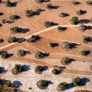 047_AgC.1630-Farmland-aerial-Zambia