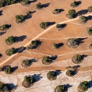048_AgC.1631-Farmland-aerial-Zambia