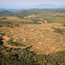 064_FTD.2728-Slash-&-Burn-Deforestation-for-Trad-Farming-Zambia