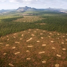 065_FTD.2758-Slash-&-Burn-Deforestation-for-Trad-Farming-Zambia