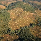 066_FTD.2787V-Slash-&-Burn-Deforestation-for-Trad-Farming-Zambia