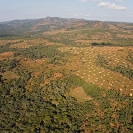 068_FTD.2775-Slash-&-Burn-Deforestation-for-Trad-Farming-Zambia