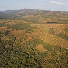 068_FTD.2775-Slash-&-Burn-Deforestation-for-Trad-Farming-Zambia