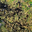 074_LZmS.9125-Elephants-Zambezi-R-aerial-Zambia