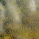 075_LZmW.1183-Zambezi-Floodplain-Pattern-aerial-Zambia