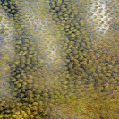 075_LZmW.1183-Zambezi-Floodplain-Pattern-aerial-Zambia