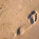 047_TZmN.8225-Footprint-on-Beach-Lake-Bangweulu-N-Zambia