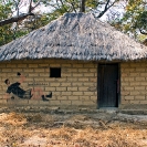 005_CZmA.8527[revsd]-African-Painted-House-Football