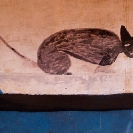 030_CZmA.8198-African-Painted-House-Cat-Detail