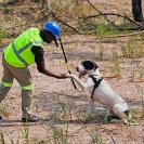 056_KMK_RF_8989-Kamoto-Mine-Security-Dog-Training-Congo