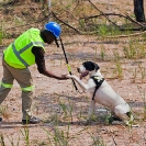 Mining-Congo1-Assignment