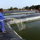 120_KMM_7672_Mutanda-Mine-Congo_KainduFishFarm