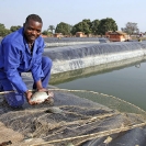 121_KMM_7685_Mutanda-Mine-Congo_KainduFishFarm