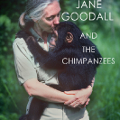 000_MApCG_14-Jane-Goodall-comforting-young-chimpanzee_TITLED