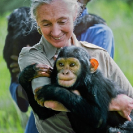 006_MApCG_12V-Jane-Goodall-hugging-young-chimp