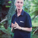 010_MApCG_74V-Jane-Goodall-portrait-lecturing-in-Africa