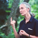 011_MApCG_75-Jane-Goodall-portrait-lecturing