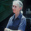 014_MApCG_78VA-Jane-Goodall_portrait