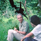 024_MApCG_62V-Jane-Goodall-with-Sheila-Siddle-&-chimpanzees