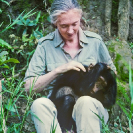 033_MApCG_32AV-Jane-Goodall-Playing-with-young-chimpanzee