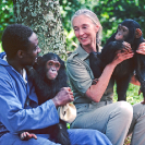 044_MApCG_43-Jane-Goodall-with-African-sanctuary-worker-&-young-chimpanzees