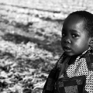 017_PZmLk.3167BW-Onion-Field-Zambia-Zambia