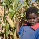 026_AgCF.0533-Cons-Farmer's-Child-&-Maize-Zambia