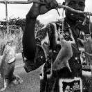 001_PZmC.4181BW-Mole-Rat-Seller-Zambia