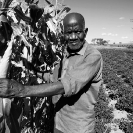 006_AgCF.0026BW-Conservation-Farmer-&-Crops-Zambia