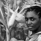 008_AgCF.0296BW-Woman-Conservation-Farmer-&-maize-crop-Zambia