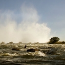 River - Victoria Falls