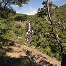 River Luangwa