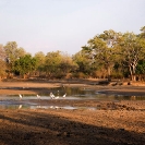 River Luangwa