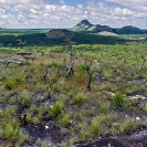 River Luangwa