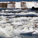 013_LZmL.7248-Fisherman-&-White-Water-Luapula-R--N-Zambia