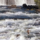 015_LZmL.7246V-Fisherman-&-White-Water-Luapula-River-N-Zambia