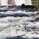 016_LZmL.7256V-Fisherman-&-White-Water-Luapula-R--N-Zambia