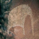 013_RANm.20-San-Late-Stone-Age-Rock-Pictograph#4-Namibia