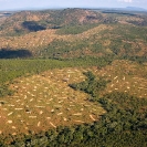 019_FTD.2777-Slash-&-Burn-Deforestation-Zambia-aerial