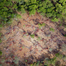 030_FTD.2566[rev2]-Slash-&-Burn-Deforestation-Zambia-aerial