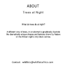 000_GalleryInfoImage-700pxl-LR-Trees-at-Night[rev1]-sfw
