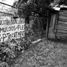 015_UAf.0306BW-Traditional-Healer-Zambia