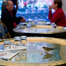 004_UFr.1651-Bird-in-Cafe-Paris