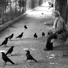 016_UFr.1640BW-Bird-Feeder-Paris