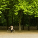 042_UDe.2033-Cyclist-&-Linden-Trees-Berlin