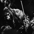 024_MApG.14BW-Highland-Mountain-Gorilla-Bwindi-Uganda