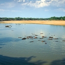 WILDLIFE-Luangwa-No.1-LZmE.320-Elephant-at-Hippo-Junction,-Luangwa-River-LR